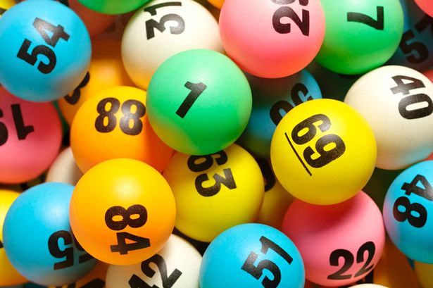 Comparing Subscription Features Offered Through Different Online Lottery Service Providers